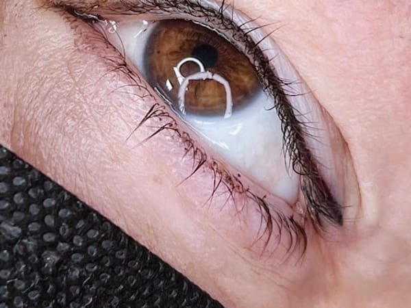 The Beehive Aesthetic - Microblading