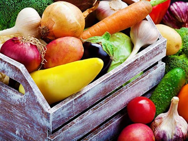 Vivo Integrative Medicine of Kansas City