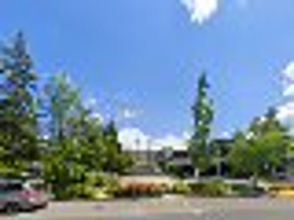Springfield Wellness Center