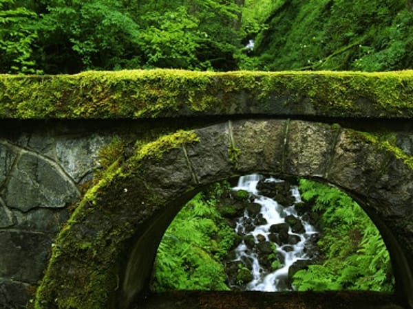 WELLBRIDGES, INC