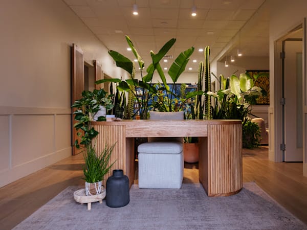 The Wellness Club