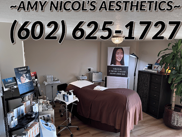 Amy Nicol's Aesthetics
