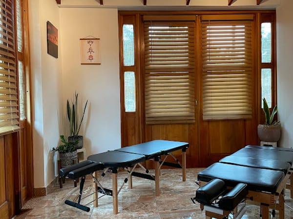 Holistica Chiropractic Studio