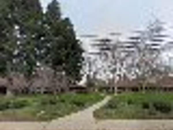 Healing Center - Chico