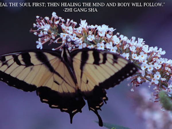 Integrative Health Practices, LLC