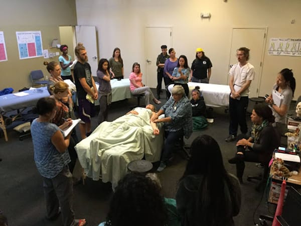 National Holistic Institute - Modesto Massage School