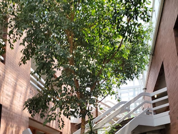 Trilogy Medical Center