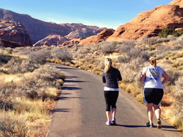 LifeStyle Fitness Camp