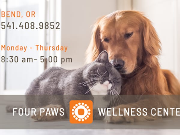 Four Paws Wellness Center
