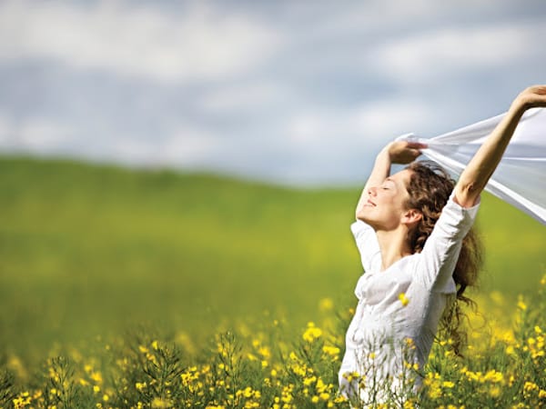 Holistic Solutions by Vera LLC