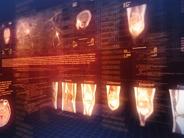 The Q Institute