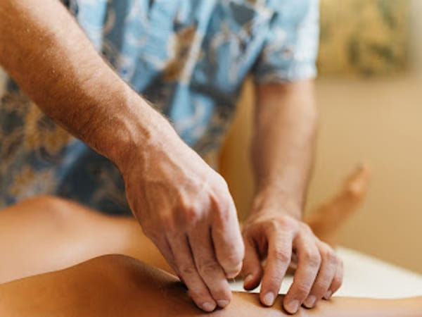 Oahu Holistic Medicine - Orthopedic Acupuncture, Martial Arts and Feng Shui