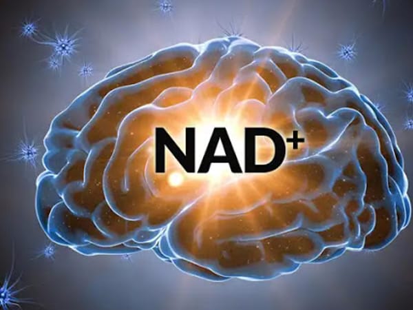 Bend Natural Health: Dr. Christopher Neary, ND