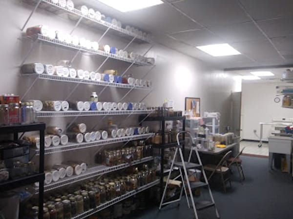 Natural Health & Wellness Center