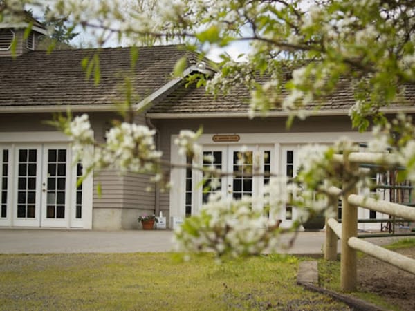 Carriage House Medicine