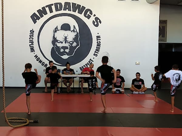 AntDawg's MMA Training Center