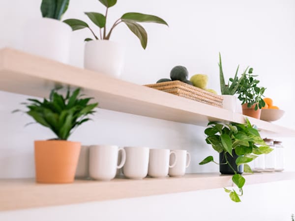 Root Functional Medicine
