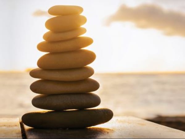 The Mind-Body-Soul Connection, LLC