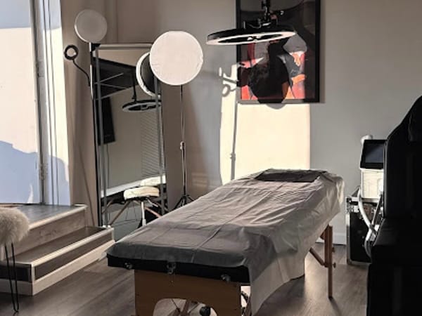 Microblading. Permanent Makeup Rochester Svetlana Popova.