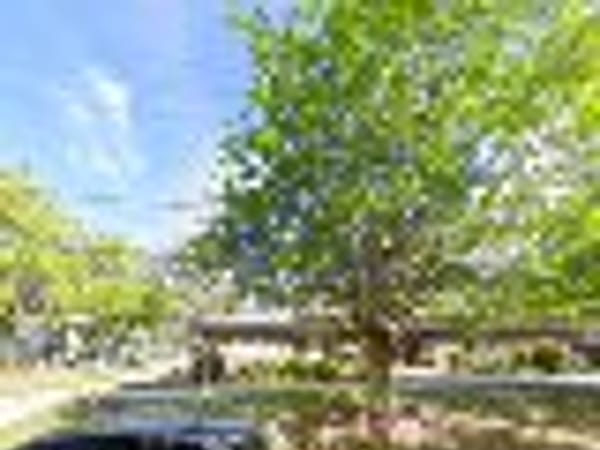 Northeast Florida Internal Medicine