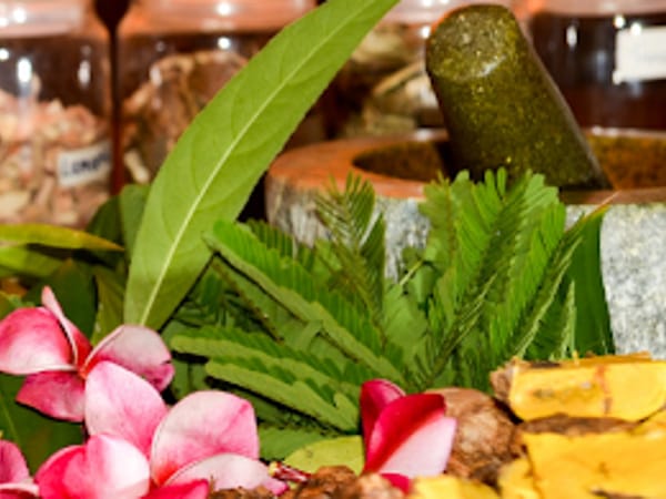 Bloom Holistic Wellness