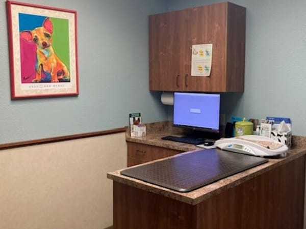 Pet Wellness Clinic LLC