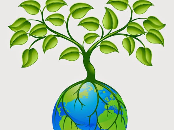 Center for Functional Medicine
