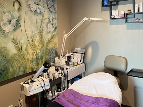 Elysium Aesthetics and Vein Care