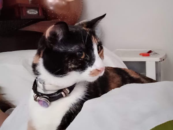 Erie Humane Society Pet Wellness Clinic