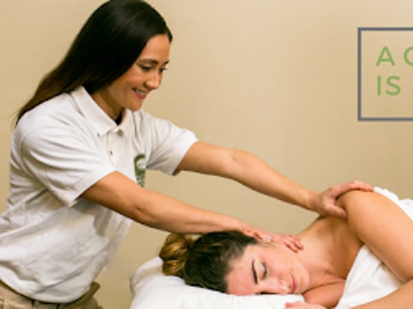 National Holistic Institute - Ontario Massage School