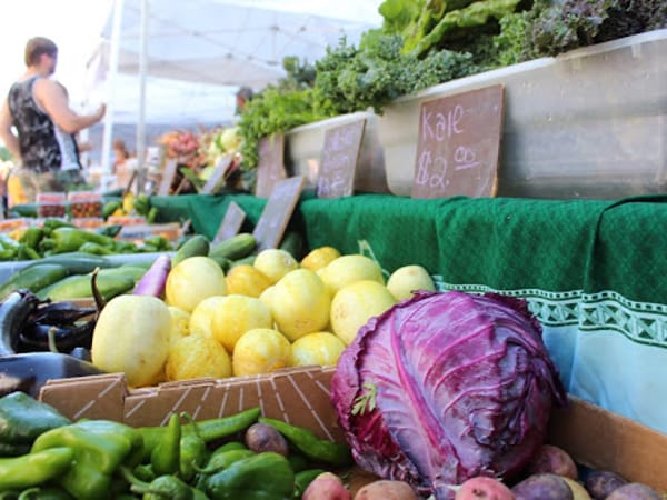Nourish Your Life - Sandy Kipp RDN