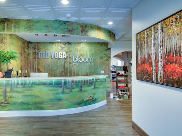 Bloom Wellness Spa