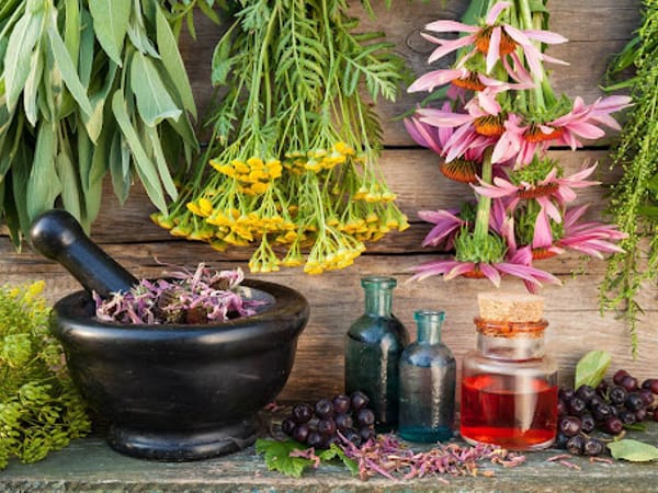 Cedar Natural Healthcare