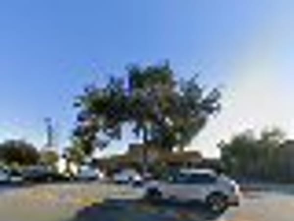 Bay Area Naturopathic Medicine