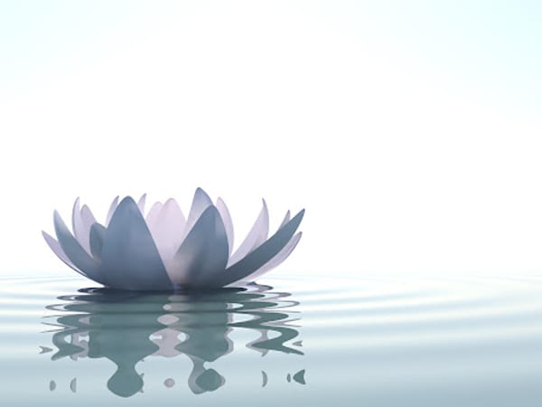 Bliss Medical Spa and Wellness