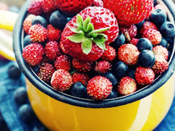 Bluebonnet Weight Loss