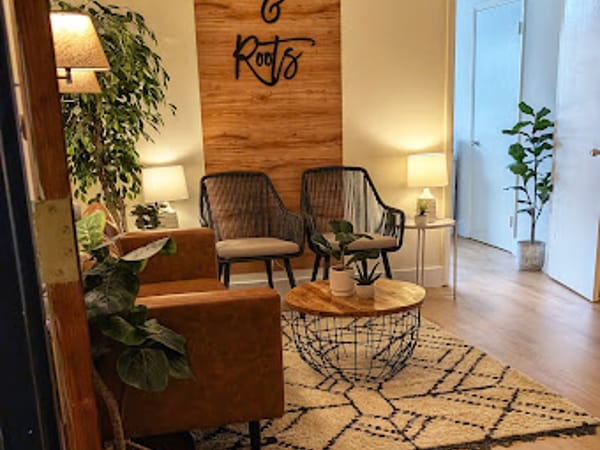 Northern Virginia Holistic Primary Care