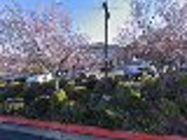 Roseville Weight Loss Clinic