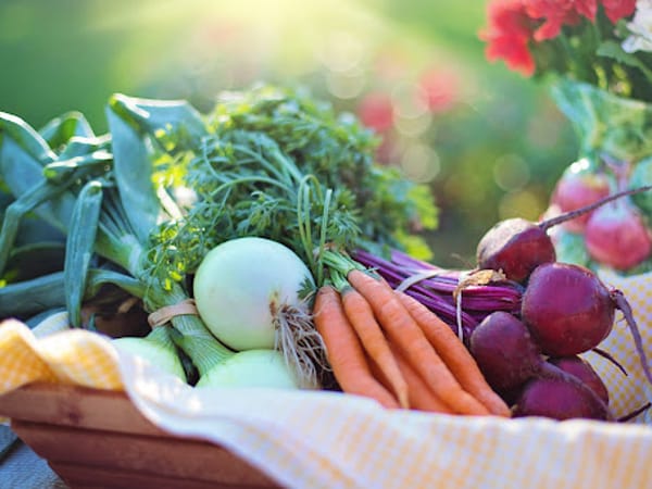 Healthy Directions For You - Donna Wolf RD
