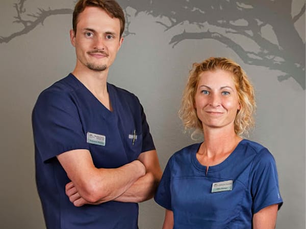 Brevard Acupuncture & Integrative Medicine