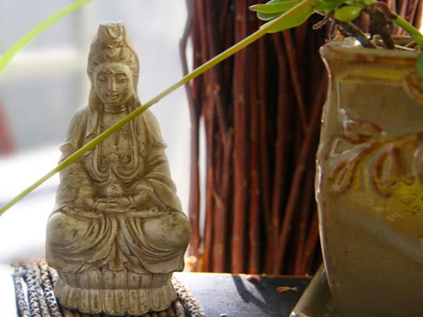 Blue Lotus Center For Health