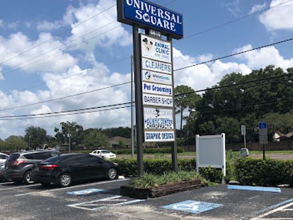 Chiropractic & Holistic Center of Tampa