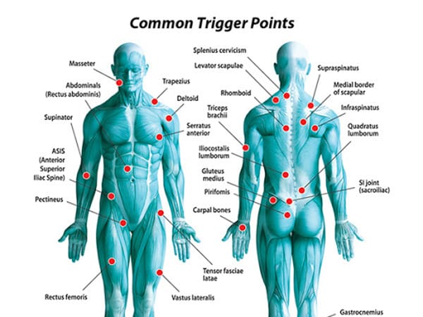 New Hampshire Regenerative Center