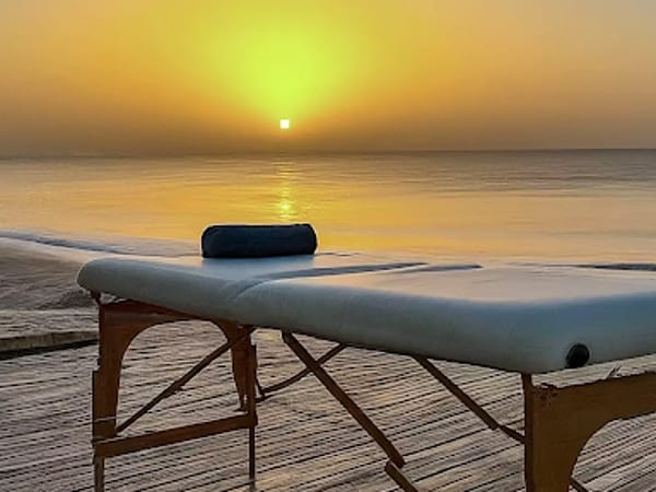 Sunshine Wellness Clinic INC: Troy Joseph Goldenberg AP, LAC