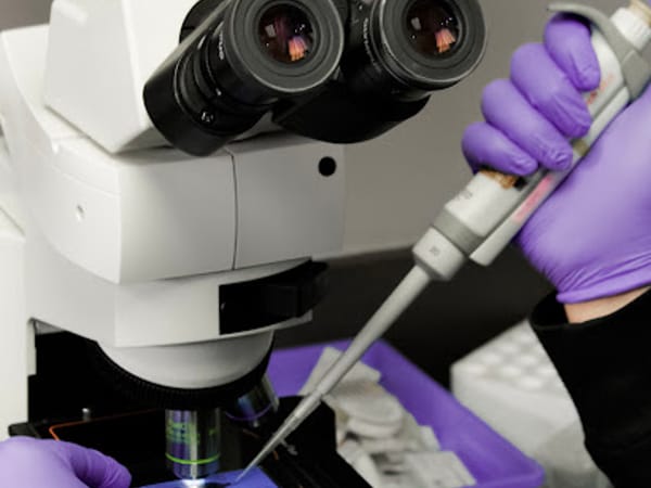 Alabama Center for Reproductive Medicine (ACRM) - Montgomery