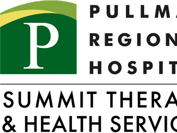 Summit Therapy & Health Services