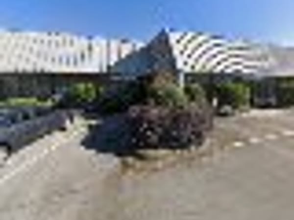 Dr. Mick, ND, DAOM, LAc - Acupuncturist/Naturopath