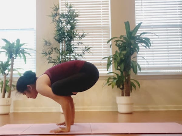 HolisticYAA (Yoga Ayurveda Astrology)