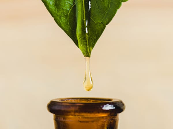 Illuminate Natural Health