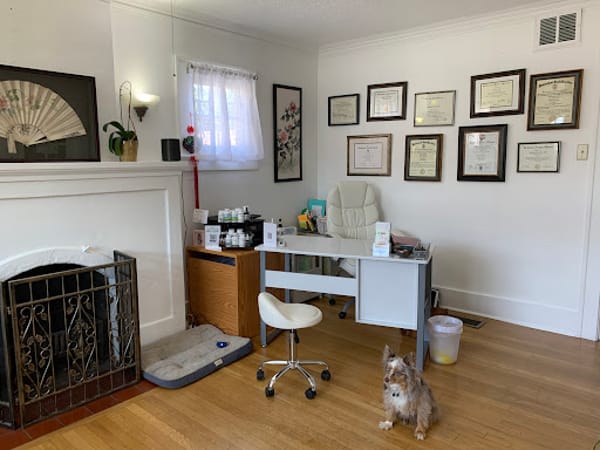 Elite MD - A Boutique Medical Spa